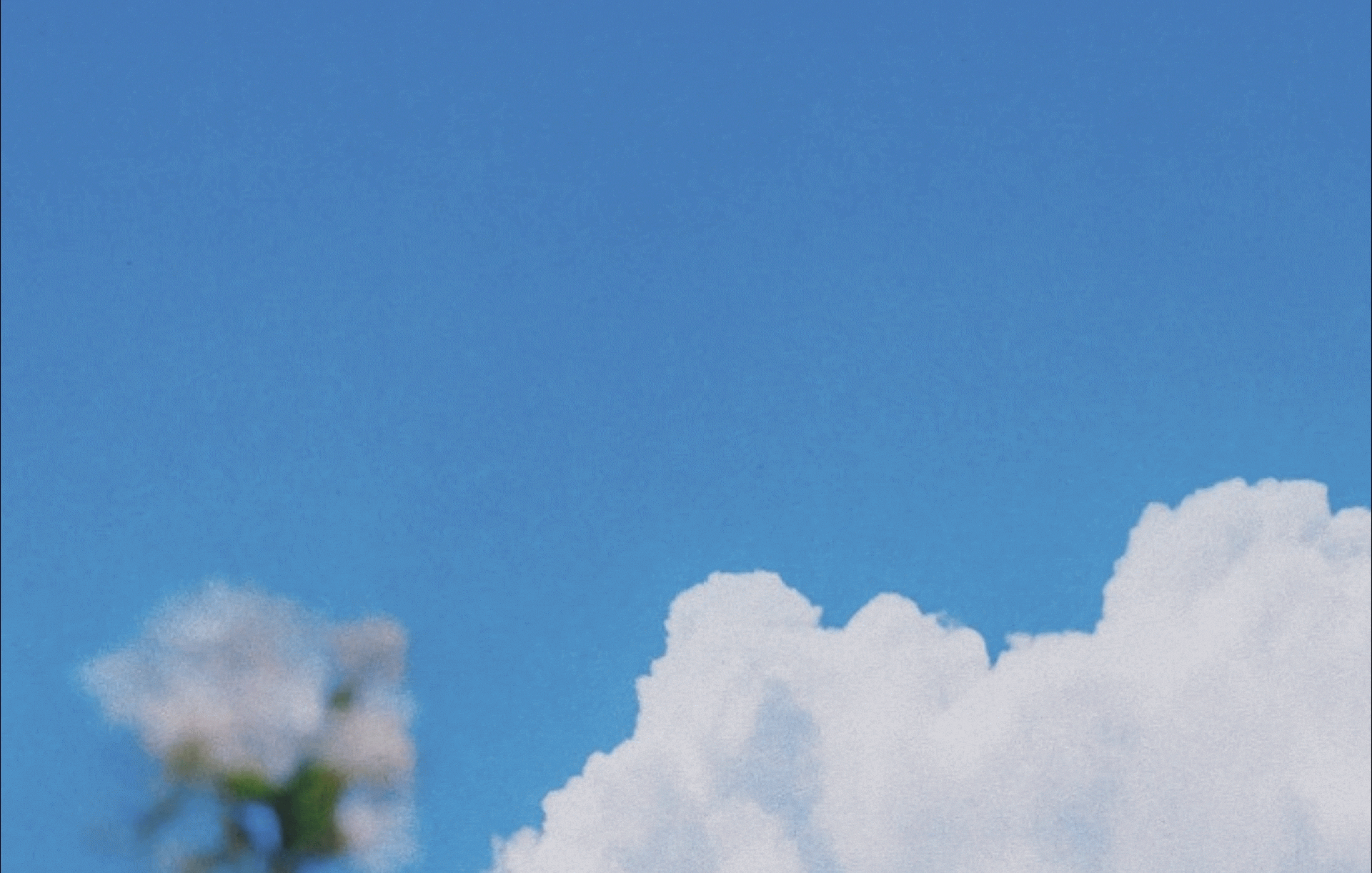 Solstice Health work image 1